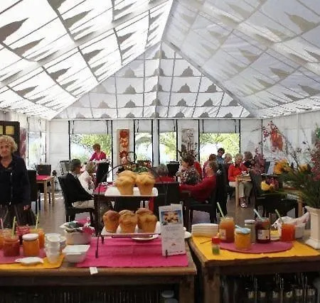 Feriehus Gemuetliches Casa Pepe